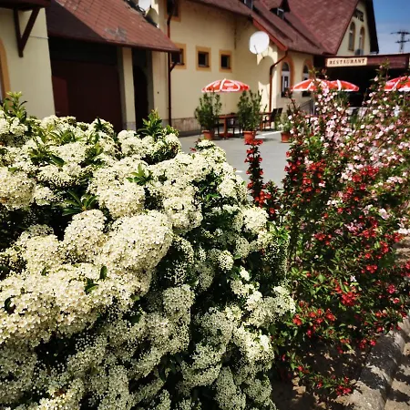 Hotel Patyi Etterem Es Bogote