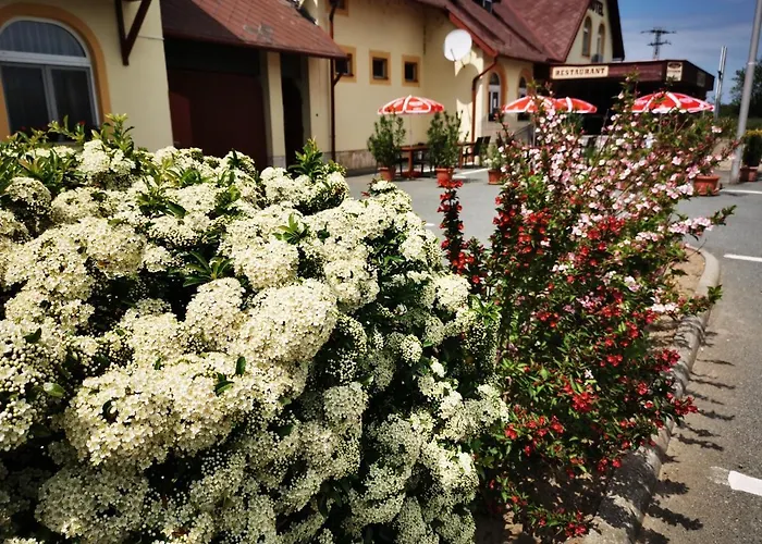 Hotel Patyi étterem és Bögöte